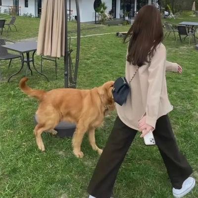 琼森帮的夏令营